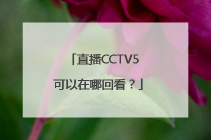 直播CCTV5可以在哪回看？