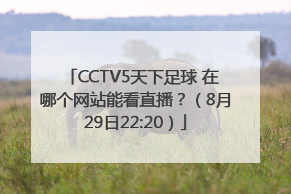 CCTV5天下足球 在哪个网站能看直播？（8月29日22:20）