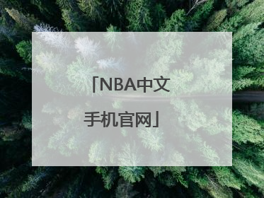 NBA中文手机官网