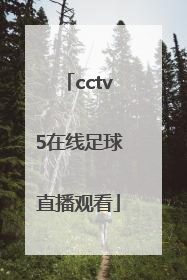「cctv5在线足球直播观看」在线看足球直播免费ccTV5